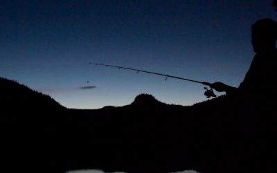Midnight Fishing