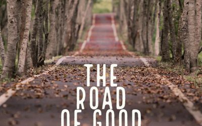The Road of Good Intentions