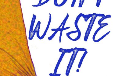 Don’t Waste It