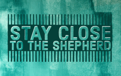 Stay Close to the Shepherd