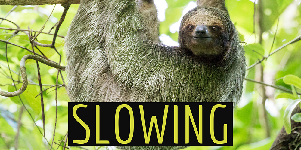 Slowing